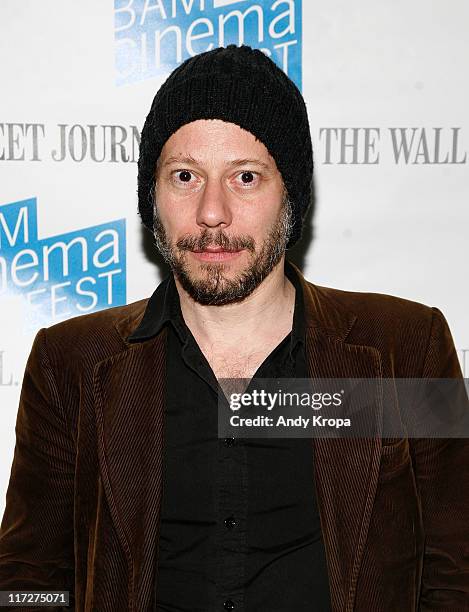 Director Mathieu Amalric attends BAMcinemaFest New York premiere of "Tournee" & "Burlesque Show" at BAM Rose Cinemas on June 24, 2011 in the Brooklyn...