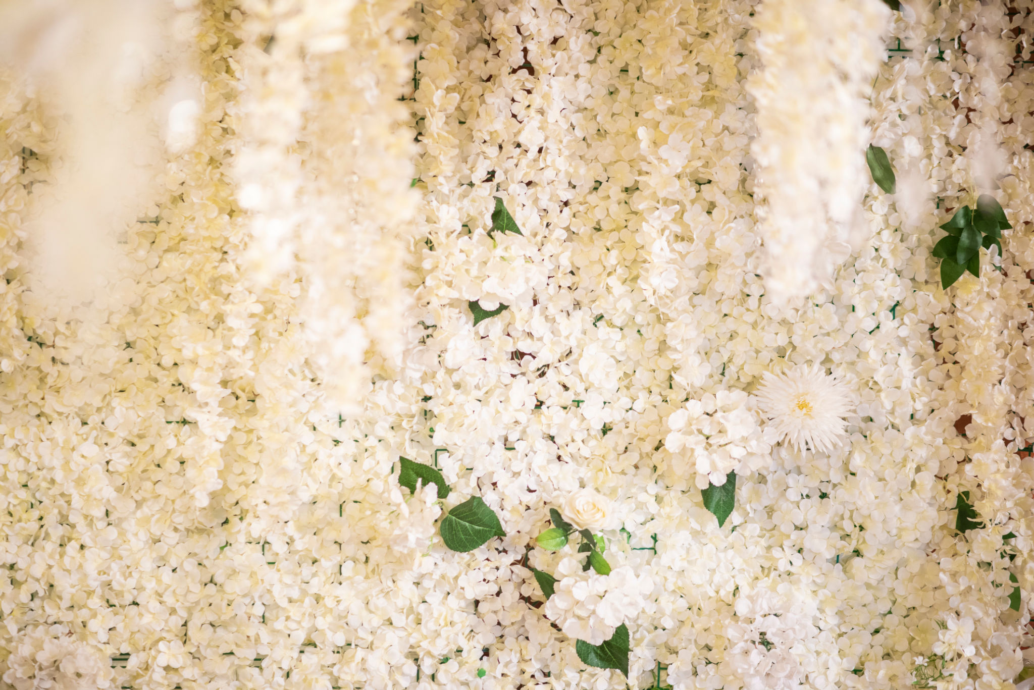 White wedding flowers and wedding decorations White wedding flowers and wedding decorations