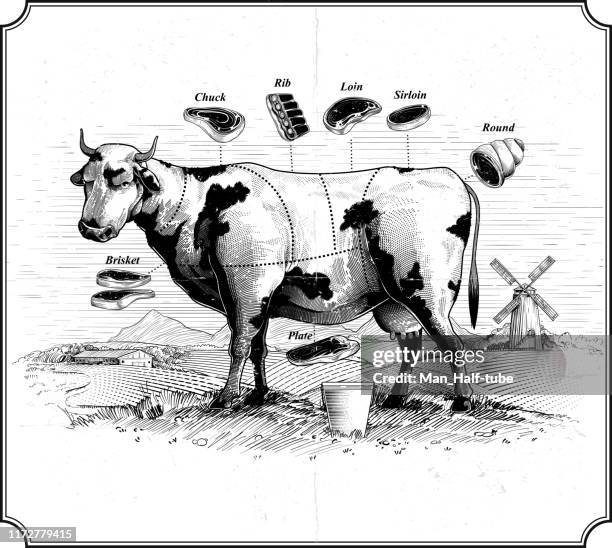 牛。牛肉切 - cutaway drawing 幅插畫檔、美工圖案、卡通及圖標