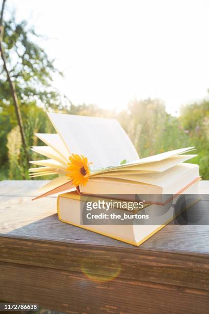 still life of an open book with flower as bookmark on a table in the garden against sunset - open flowers stock-fotos und bilder