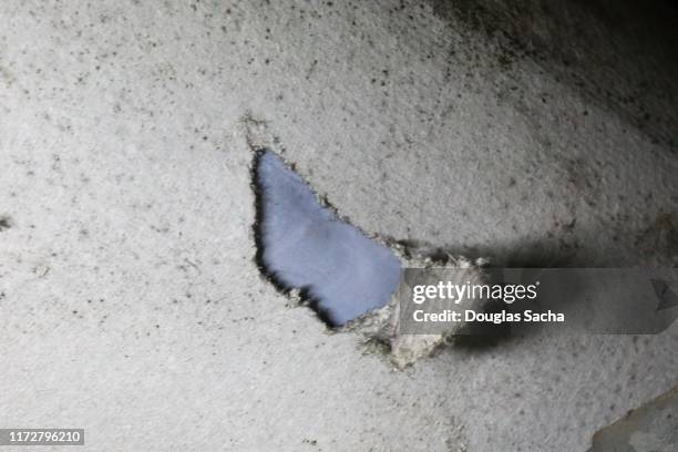 asbestos insulation torn from a heating/cooling air duct - asbestos stock pictures, royalty-free photos & images