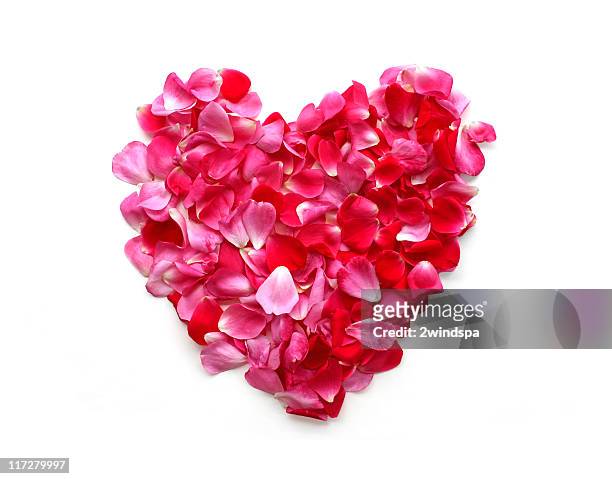coração rosa pétala - petal imagens e fotografias de stock
