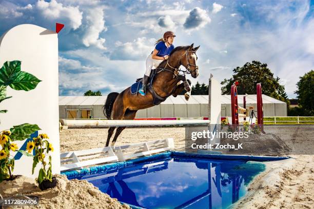 show jumping - horse with female rider jumping over hurdle - jumping into water stock pictures, royalty-free photos & images