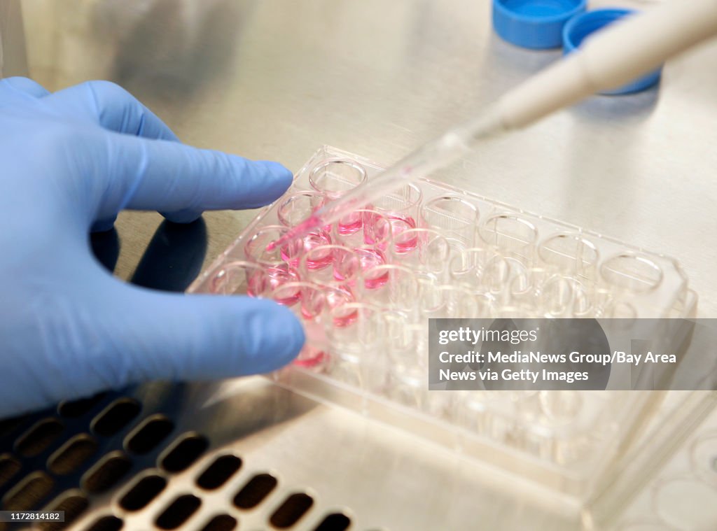 Stanford M.D/Ph.D. student David Purger, changes the media of retinal ganglion cells from a rat in the Monje Lab at Stanford University's Lorry I. Lokey Stem Cell Research Building, in Palo Alto, Calif. on Friday, August 31, 2012. (LiPo Ching/Staff)