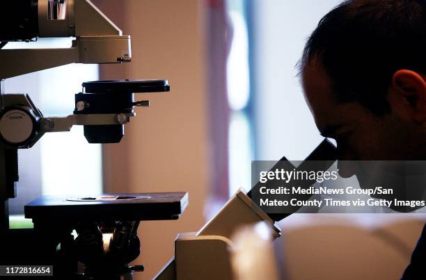 Palo Alto, CA June 5, 2006: Medical student Simon Hanft investigates neural inflammation in the neuroscience lab of Dr. Theo Palmer at Stanford...