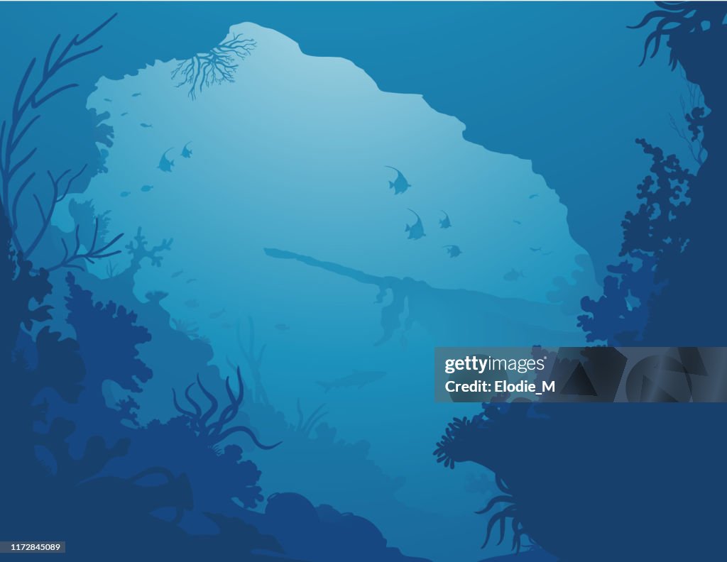 Shipwreck Wreck