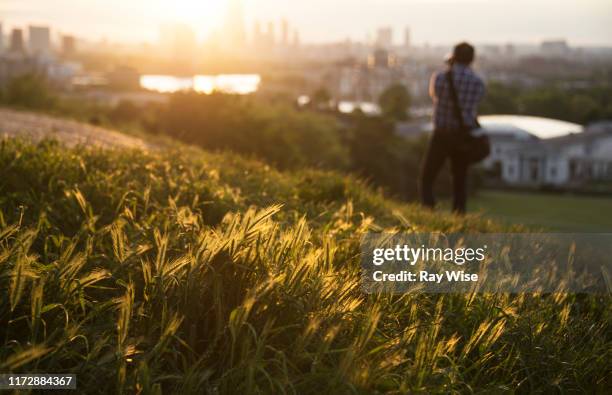 greenwich park sunset - person taking photo - greenwich park photos et images de collection