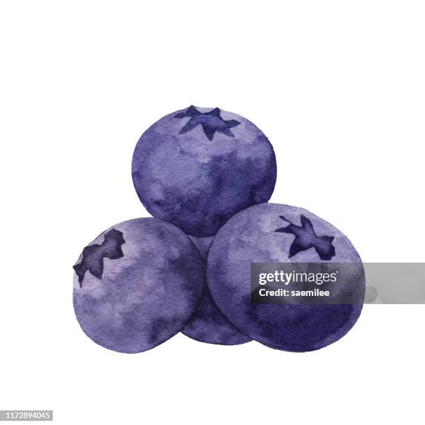 stockillustraties, clipart, cartoons en iconen met aquarel bosbessen - blueberry