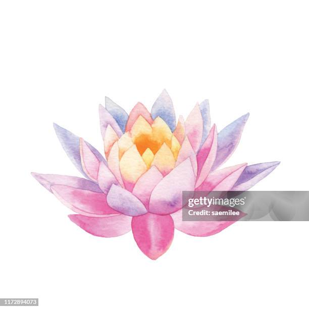 ilustraciones, imágenes clip art, dibujos animados e iconos de stock de acuarela lotus - buddhism