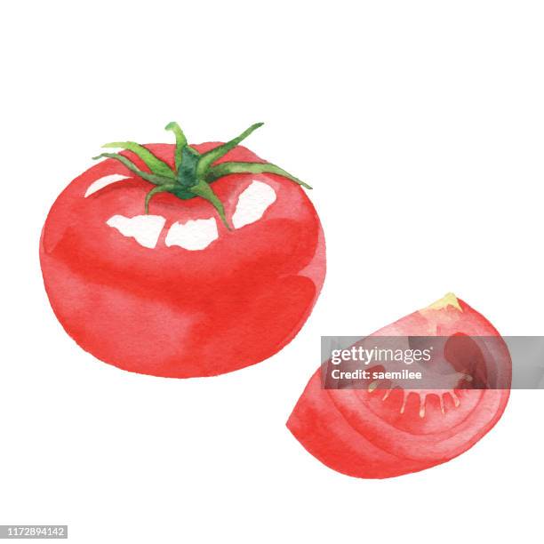 ilustraciones, imágenes clip art, dibujos animados e iconos de stock de tomate de acuarela - juicy