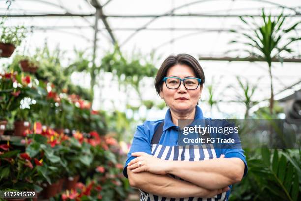 porträt des inhabers des blumenladens in kleinbeiner geschäft - farmer female confident stock-fotos und bilder