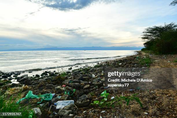 plastic on the wild shores of blue-green lake albert - zaire park stock pictures, royalty-free photos & images