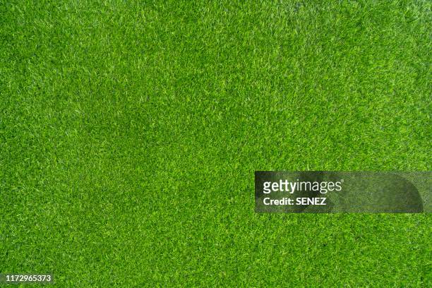 green grass background - サッカー場　無人 ストックフォトと画像