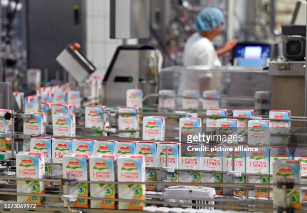October 2019, Thuringia, Erfurt: Low-fat UHT milk is filled into cartons at DMK Deutsches Milchkontor GmbH's Erfurt plant. Production at this...