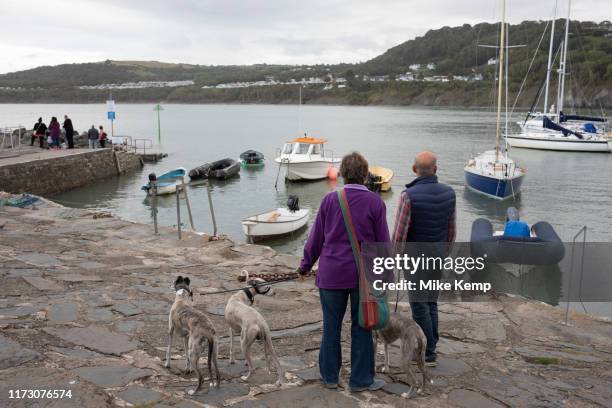 Harbour in New Quay, Ceredigion, Wales, United Kingdom. New Quay is a seaside town in Ceredigion, Wales located on Cardigan Bay with a harbour and...