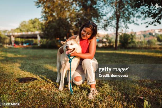 young woman with akita dog relaxing in the park - akita inu stock pictures, royalty-free photos & images