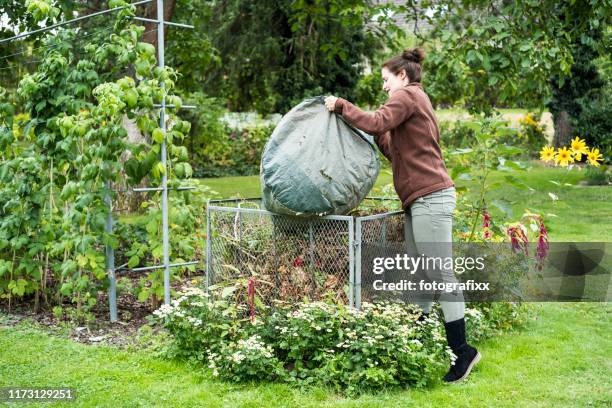 leav - compost garden stockfoto's en -beelden