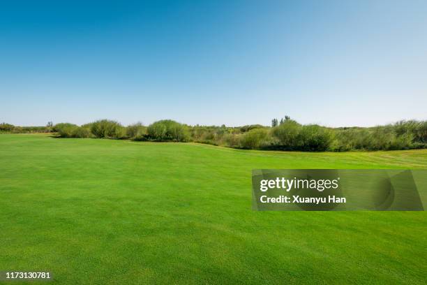 green meadow and blue sky - empty golf course stock pictures, royalty-free photos & images