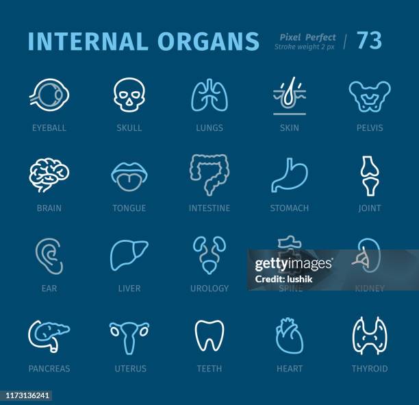 内臓 - キャプション付きのアウトラインアイコン - 甲状腺点のイラスト素材／クリップアート素材／マンガ素材／アイコン素材