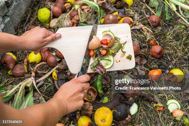 woman's hands throwing food scraps in the compost heap. - compost stockfoto's en -beelden