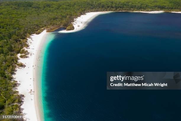 the beautiful coastline of the freshwater lake mackenzie. a view from above. - freshwater stock pictures, royalty-free photos & images