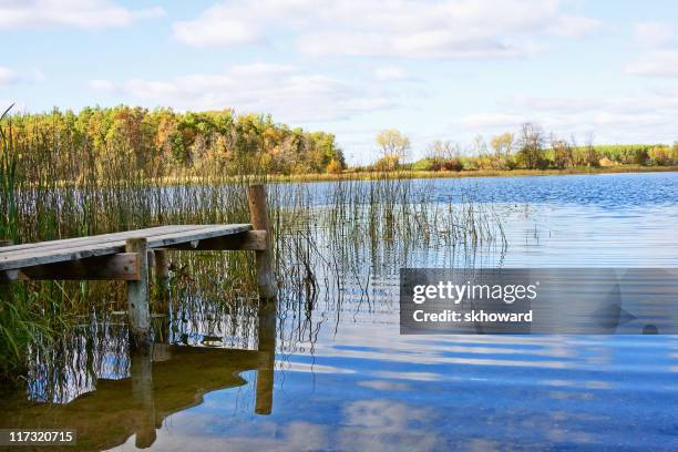 remote lake - minnesota forest stock pictures, royalty-free photos & images