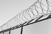 Coils of razor wire on top of a wire mesh perimeter fence