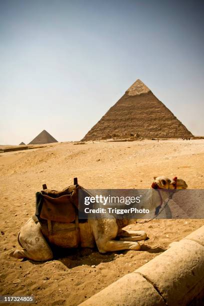 egypt wonders - gold pyramid stock pictures, royalty-free photos & images