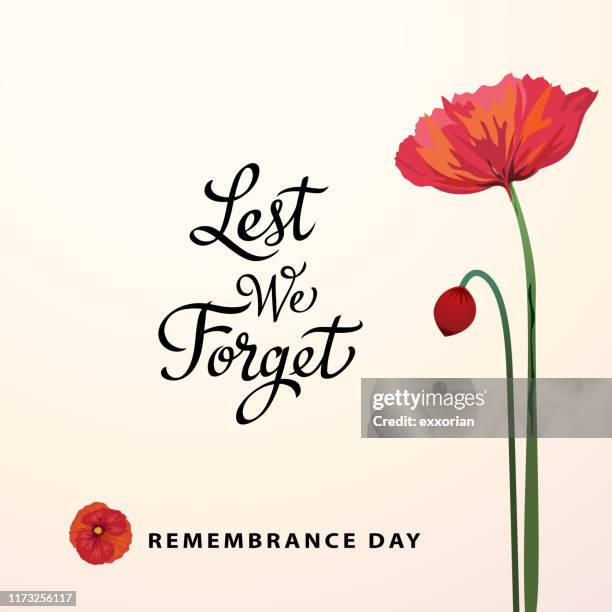 lest we forget remembrance day - anzac stock-grafiken, -clipart, -cartoons und -symbole