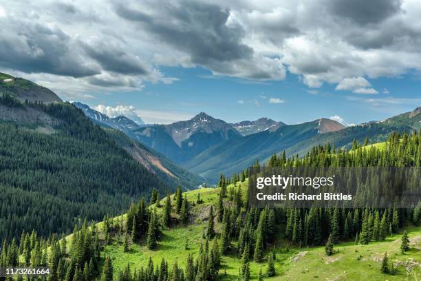 san juan national forest - san juan national forest stock pictures, royalty-free photos & images