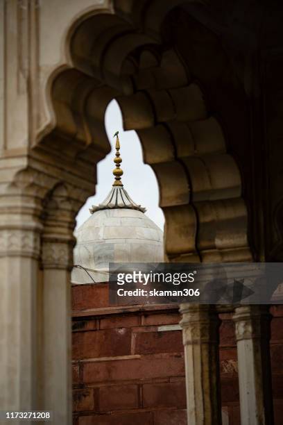 beautiful architecture  mughal empire at agra fort near agra india - jama masjid agra 個照片及圖片檔