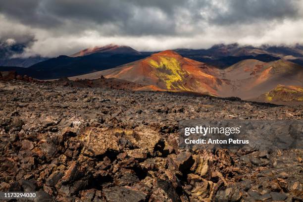 pahoehoe lava field on hawaii's big island. volcano national park. - big island volcano national park stock-fotos und bilder