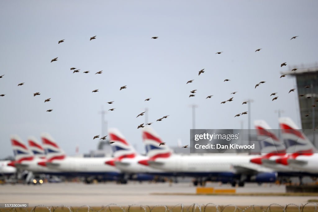 British Airways Pilots Strike Over Pay