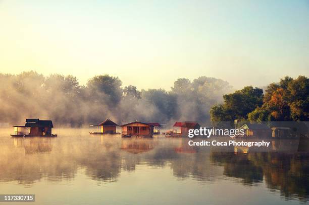 morning on river sava - belgrade serbia stock pictures, royalty-free photos & images