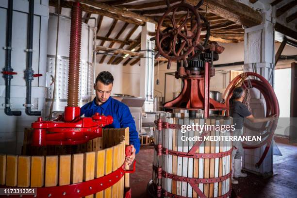 cellar manual press workers adjusting - wooden wine press stock pictures, royalty-free photos & images