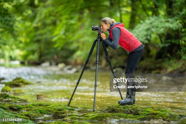 side view mature woman female outdoor photographer in river - tripod stock pictures, royalty-free photos & images