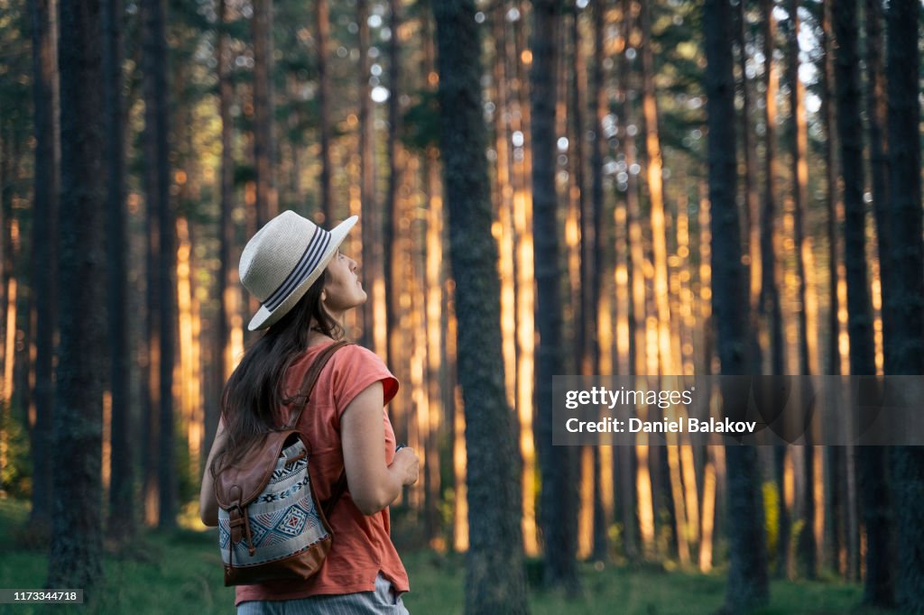 自然に戻る森の中を歩くソロ旅行者。自然の中を歩く幸せな若い女性観光客。晴れた日に森の中でアウトドアを楽しむ。