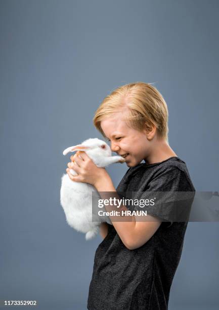 glücklicher junge trägt kaninchen vor grauem hintergrund - boy holding picture cut out stock-fotos und bilder