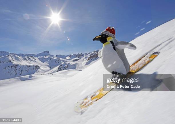 stuffed penguin skiing - funny snow skiing stock pictures, royalty-free photos & images