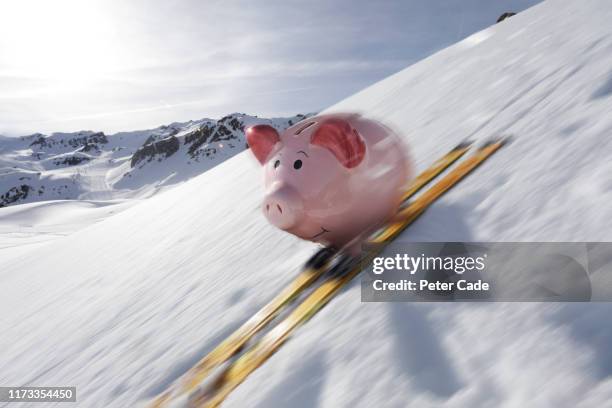 piggy bank skiing - funny snow skiing stock pictures, royalty-free photos & images