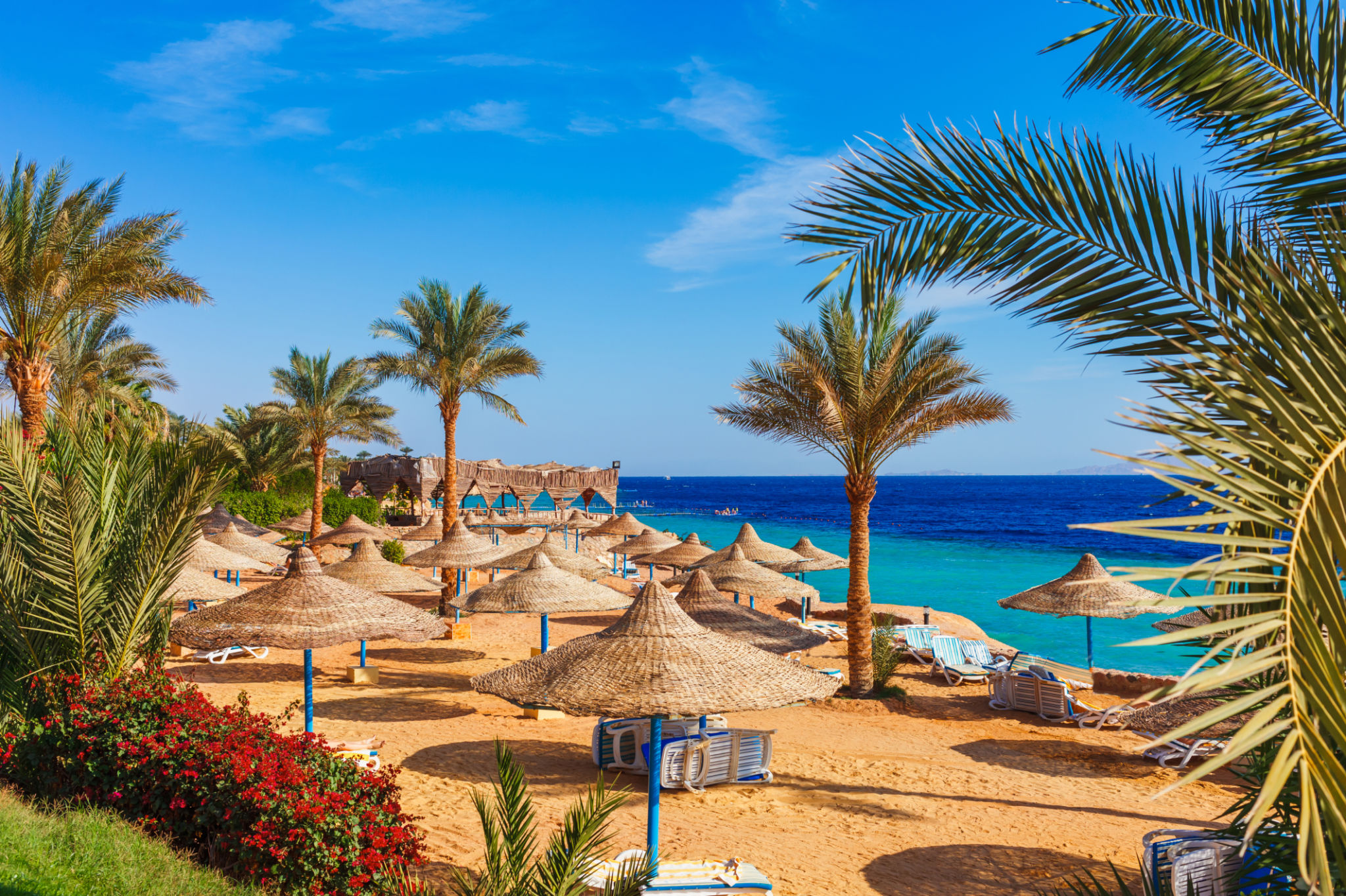 egypt summer