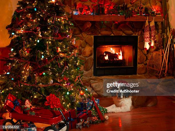 christmas dog - big xmas stocking stock pictures, royalty-free photos & images