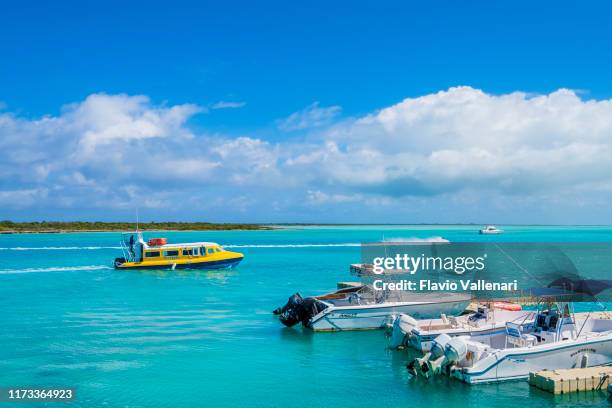 turks and caicos, providenciales - leeward harbor - turks and caicos stock pictures, royalty-free photos & images