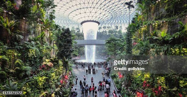 the rain vortex at jewel, changi airport, singapore - singapore stock pictures, royalty-free photos & images