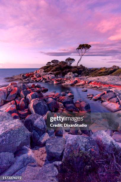 dusk moment at binalong bay - bay of water stock pictures, royalty-free photos & images