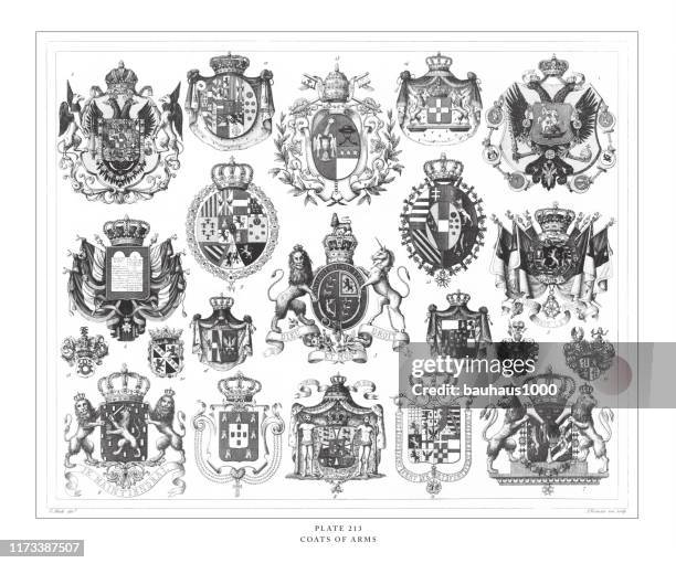ilustraciones, imágenes clip art, dibujos animados e iconos de stock de escudos de armas grabado ilustración antigua, publicado 1851 - reyes y reinas