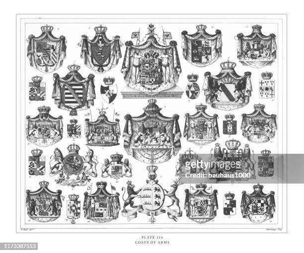 coats of arms engraving antique illustration, published 1851 - wooden shield stock illustrations