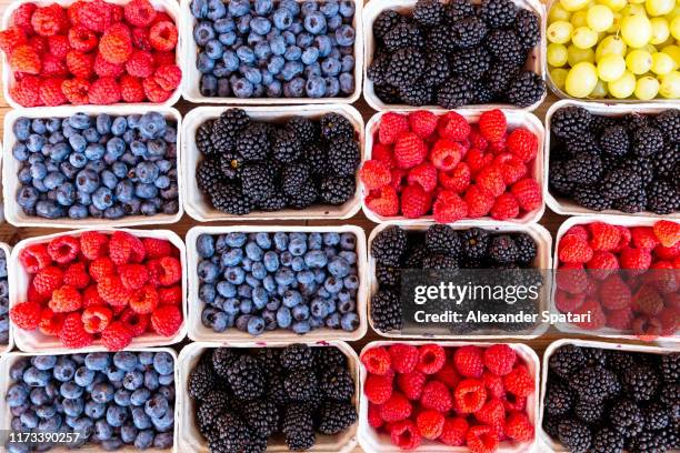 directly above view of fresh berries on the market stall at farmer's market - summer fruits stock-fotos und bilder