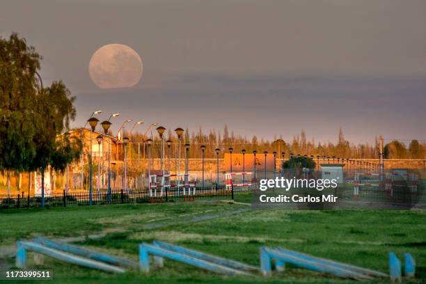 luna llena al amanecer - luna llena stockfoto's en -beelden