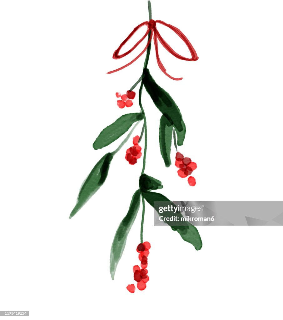 Christmas illustration of  ivy and mistletoe - christmas card